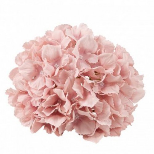 Flor Hortência Rosa